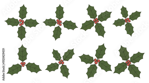 Collection of holly sprigs with red berries on white background