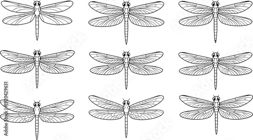 High angle view of professional engineer examining solar panel installation on rooftop for sustainable energy production and clean renewable power technology business concept.