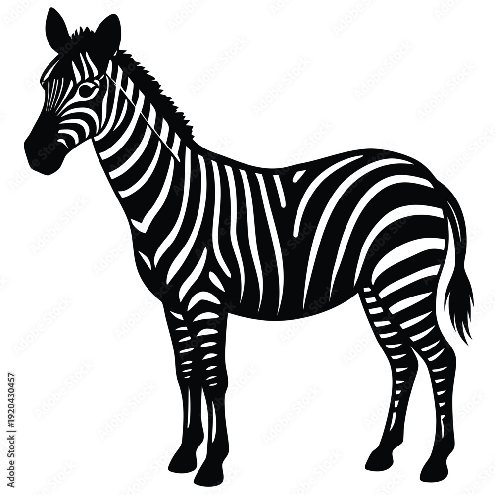 Fototapeta premium zibbra vector