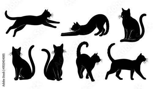 Elegant Cat Silhouette Vector Art Set in Sitting Standing and Walking Poses on White Background