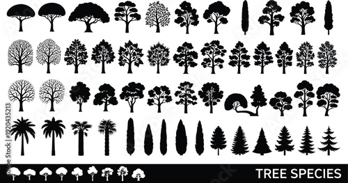 Tree species silhouette collection with diverse forest and palm shapes, black and white botanical vector illustration set