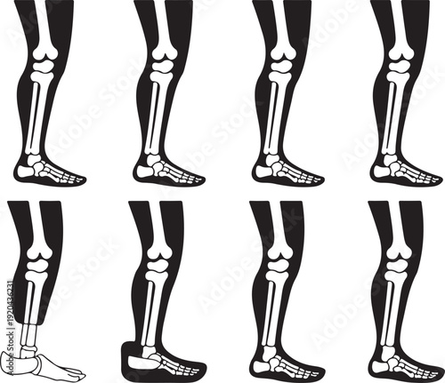 Human Leg and Foot Skeletal Movement Sequence