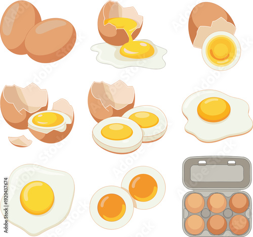 Eggs vector illustration set, whole egg, cracked shell, yolk, boiled egg, fried egg, egg carton, cooking, food, breakfast, protein, nutrition design