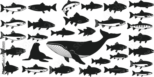 Marine animals silhouettes set including whale, seal, salmon, trout, aquatic wildlife collection, ocean creatures, cad drawing flat vector illustration, nature.