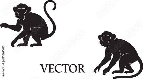 Calm monkey sitting and smelling a flower, Vector Illustration