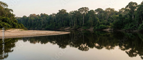 Wide tropical river bend with sandbar and dense rainforest