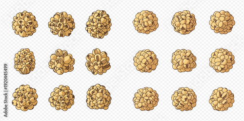 Set of vector illustrations of delicious popcorn kernels, perfect for movie nights and snack-themed designs.