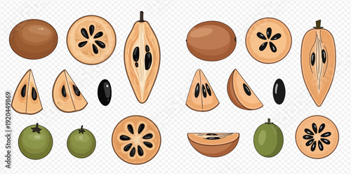 Set of sapodilla fruit illustrations, whole, half, sliced, and seeds, isolated on transparent background.