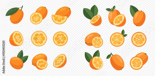 Set of fresh kumquat fruits with green leaves, whole and sliced, isolated on transparent background. Citrus fruit collection.