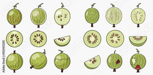 Set of fresh green gooseberry berries whole and cut in half with seeds.