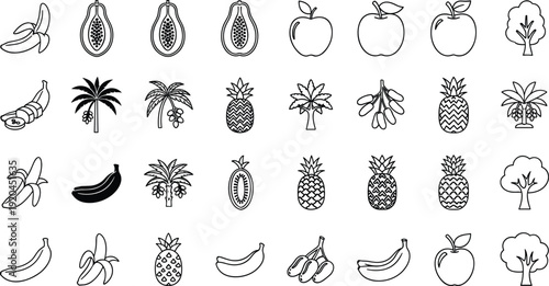 Minimal fruit line icons set, banana apple pineapple papaya symbols, tropical food collection, black and white vector illustration, organic design elements