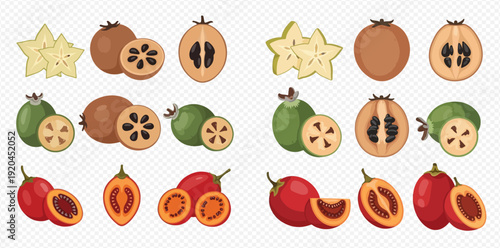 Set of exotic tropical fruits including star fruit, loquat, feijoa, and tamarillo illustrations.