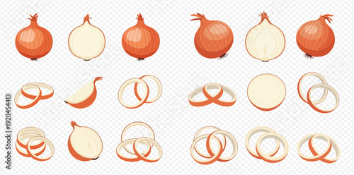 Set of cartoon whole and sliced red onions, rings, and halves on transparent background.