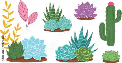Succulent and cactus plant vector set featuring various echeveria, aloe vera, tall saguaro, and decorative desert flora for home garden and botanical interior design projects.