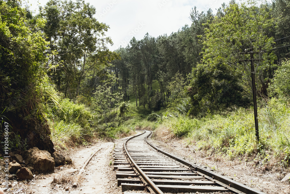 Obraz premium スリランカのエッラにあるナインアーチブリッジ