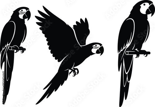Parrot silhouette vector set with perched and flying poses, black tropical macaw bird illustration isolated on white background