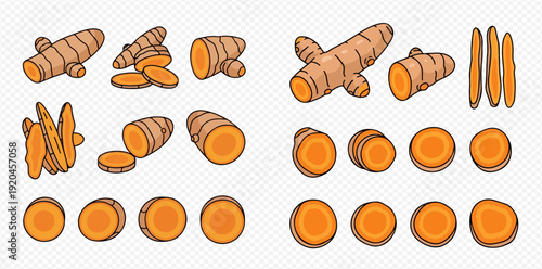 Set of fresh turmeric roots and slices, isolated on a transparent background, vector illustration.