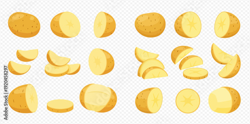 Set of fresh raw potatoes, whole, half, slices, and wedges vector illustration on transparent background.