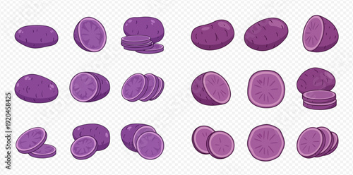 Set of fresh purple potatoes, whole and sliced, isolated on transparent background. Healthy vegetable food.