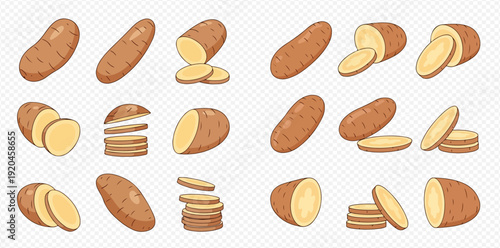 Set of fresh whole and sliced potatoes with brown skin and yellow flesh on a transparent background.