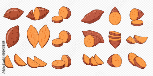Set of sweet potato illustrations: whole, halved, sliced, and diced pieces of orange yam.
