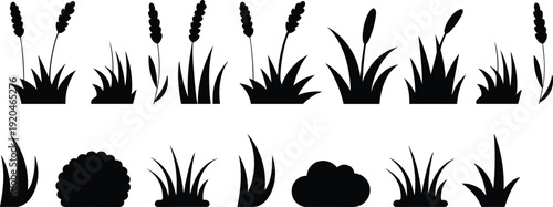 Grass and reed silhouette collection vector, meadow plants bushes foliage elements isolated for landscape design projects, flat vector illustration