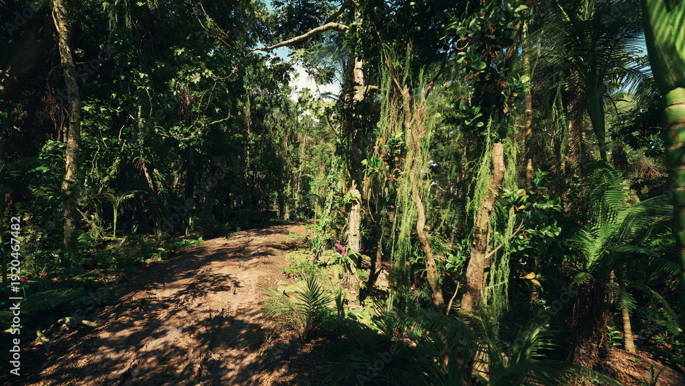 Fototapeta premium Sunlit forest path with dappled canopy and leaf litter, winding dirt trail framed by tall trees and dense undergrowth, warm golden lateafternoon light creating