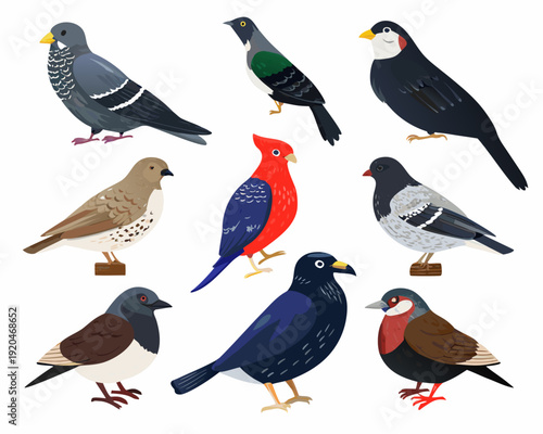 A colorful collection of various bird species illustrated in a flat style