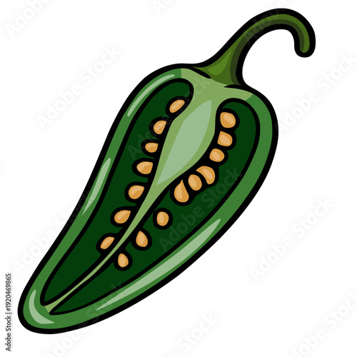 Vibrant green jalapeno pepper vector illustration, sliced in half to reveal seeds and inner texture.