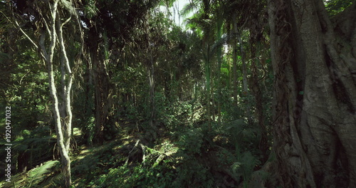 Φωτογραφία Vibrant ecological forest floor, Ecologically rich layered forest ground environ