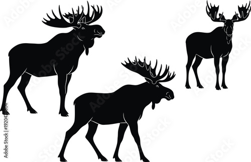 Moose silhouette vector set with standing and walking poses, black majestic antlered elk illustration isolated on white background