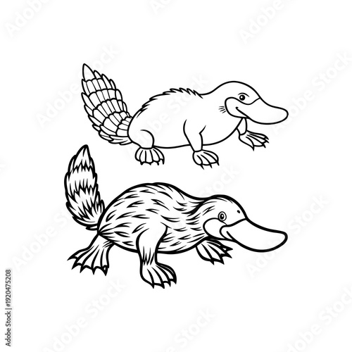 Black and white line art illustration of two platypuses, one with a textured tail and the other with a smooth tail.