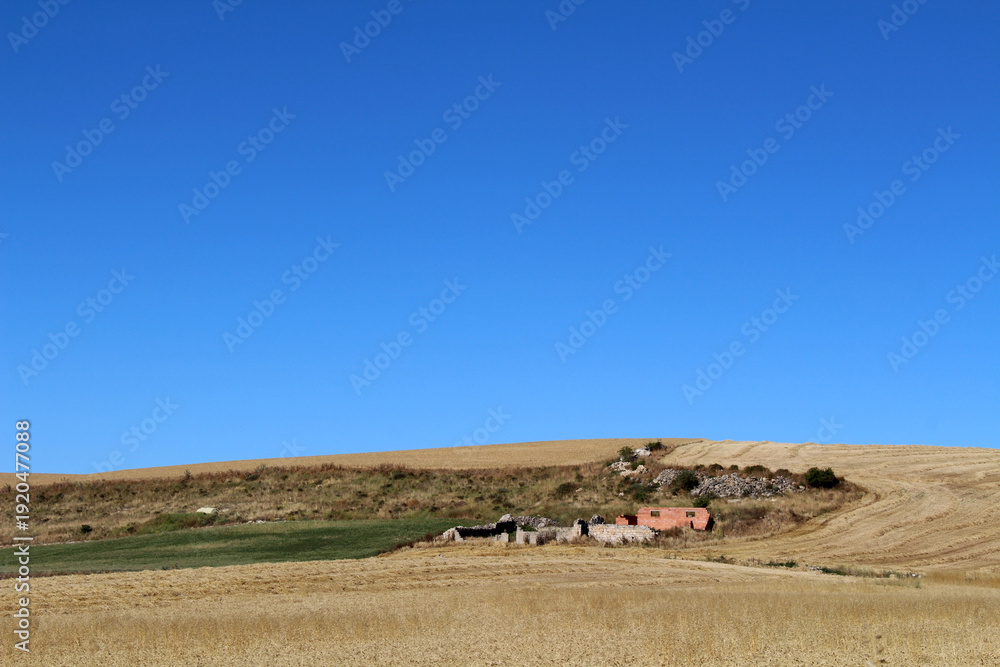 Obraz premium Sunny trail from Hornillos del Camino in July 2024