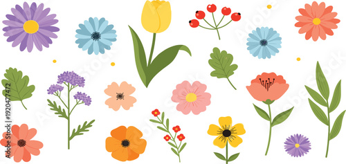 Hand Drawn Spring Flowers Vector Collection with Colorful Floral Elements Botanical Leaves Cute Minimal Flat Illustration Design