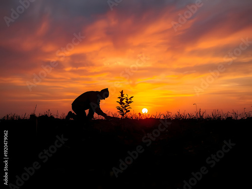 Person Planting a Tree at Sunrise, Sustainability and Future Growth Concept