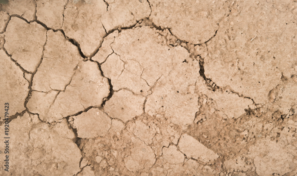 Fototapeta premium dry ground with cracks on the surface.