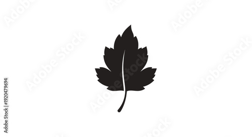 Black Silhouette of a Leaf.
