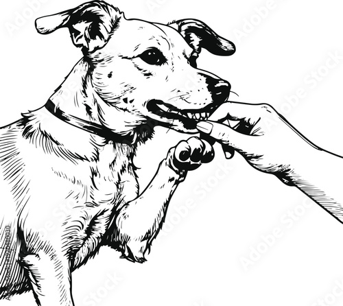 Thin line art illustration of a playful dog gently nibbling a human’s fingers in a friendly love bite gesture, non-aggressive, simple vector