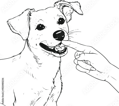 Thin line art illustration of a playful dog gently nibbling a human’s fingers in a friendly love bite gesture, non-aggressive, simple vector 2