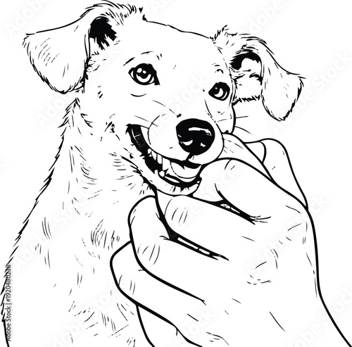 Thin line art illustration of a playful dog gently nibbling a human’s fingers in a friendly love bite gesture, non-aggressive, simple vector 1
