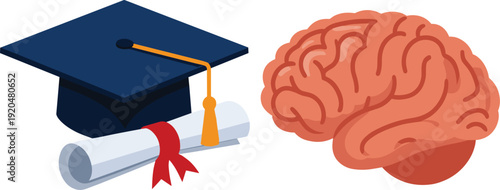 Graduation cap with diploma and brain education learning