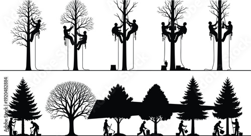 Arborist tree service silhouettes vector illustration with workers climbing and cutting trees isolated on white background landscaping collection
