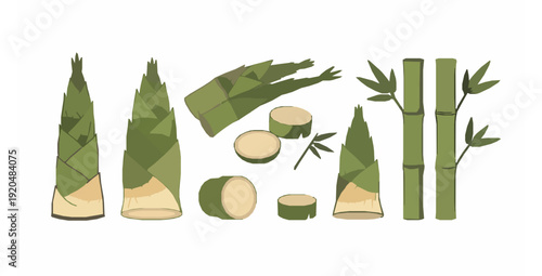 Bamboo shoot flat vector illustration isolated on white background
