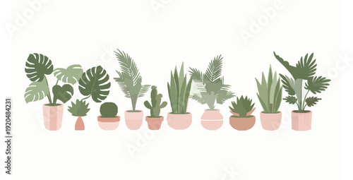Pastel house plants in flower pots flat vector collection isolated on white background