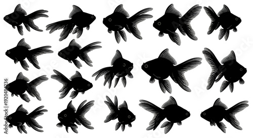 Collection of silhouetted goldfish in various orientations and poses, vector illustration