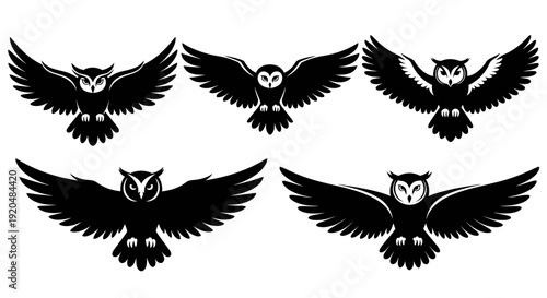 Collection of black owl silhouettes in various flying positions against a simple background