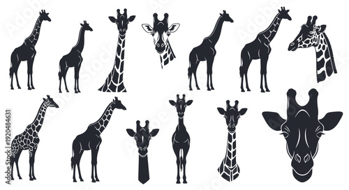 Collection of various giraffe silhouettes in different poses and angles