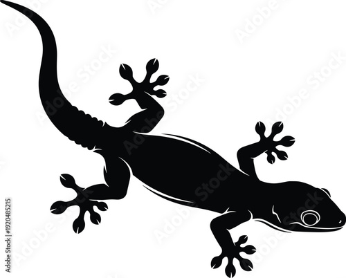 Gecko lizard silhouette vector illustration with detailed body and toes isolated on white background tropical reptile design