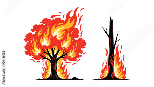 Illustrations of a tree engulfed in bright red and orange flames and a charred black tree trunk representing a forest fire.