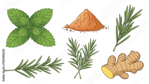 Variety of fresh culinary herbs and spices including mint leaves, rosemary sprigs, ginger root, and a pile of cinnamon or cocoa powder.